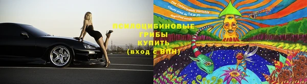 spice Заволжье