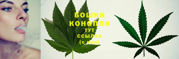 spice Заволжье
