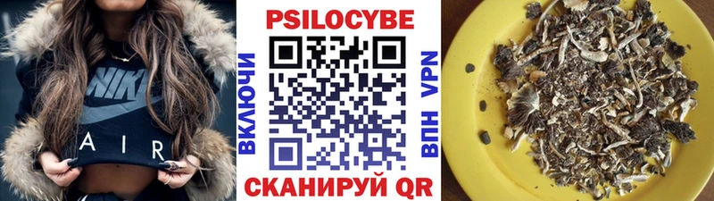 купить   Красноармейск  mega   Галлюциногенные грибы мицелий 